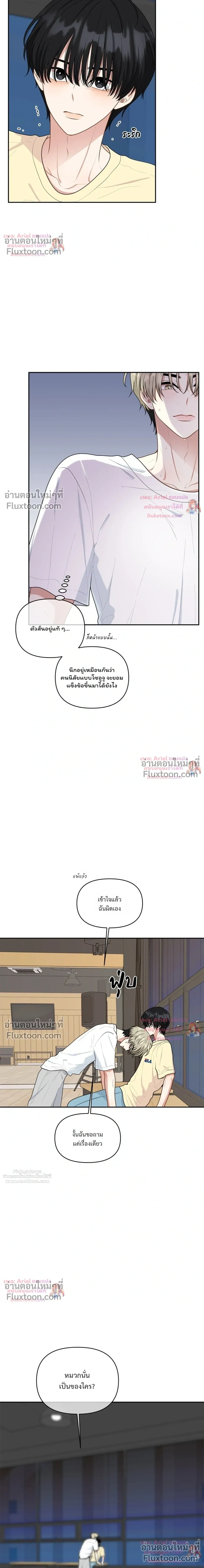 หน้าที่ 13