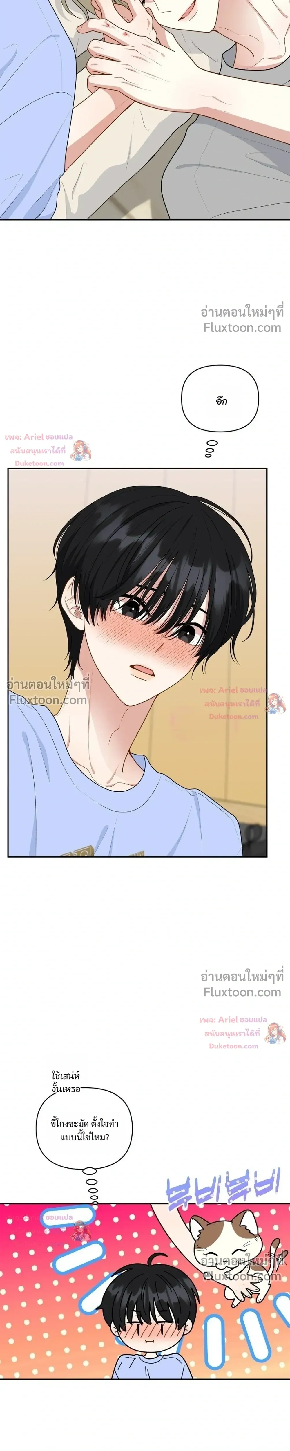 หน้าที่ 17