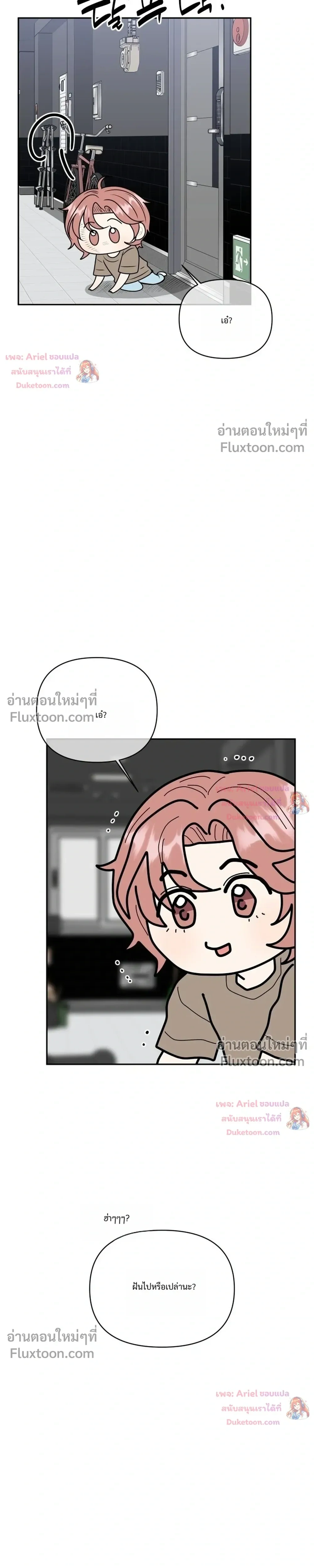 หน้าที่ 17