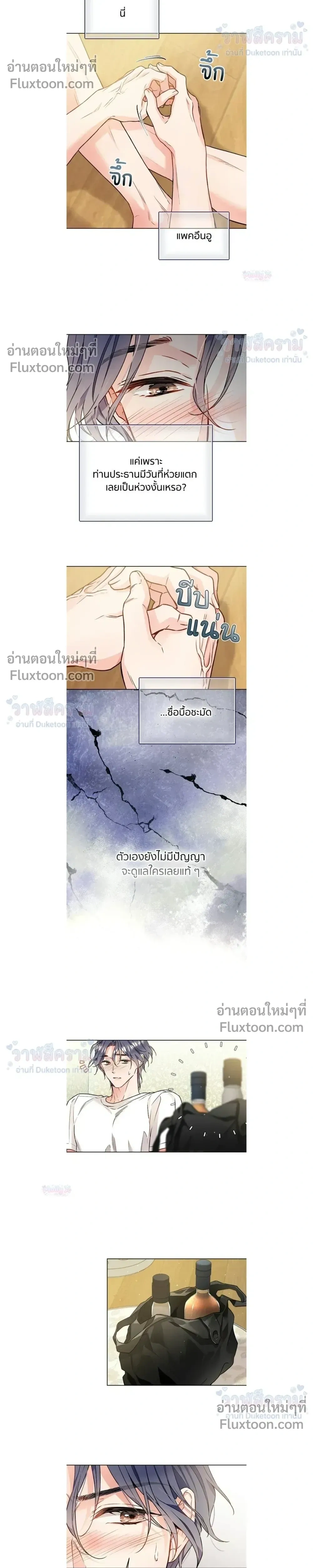 หน้าที่ 13