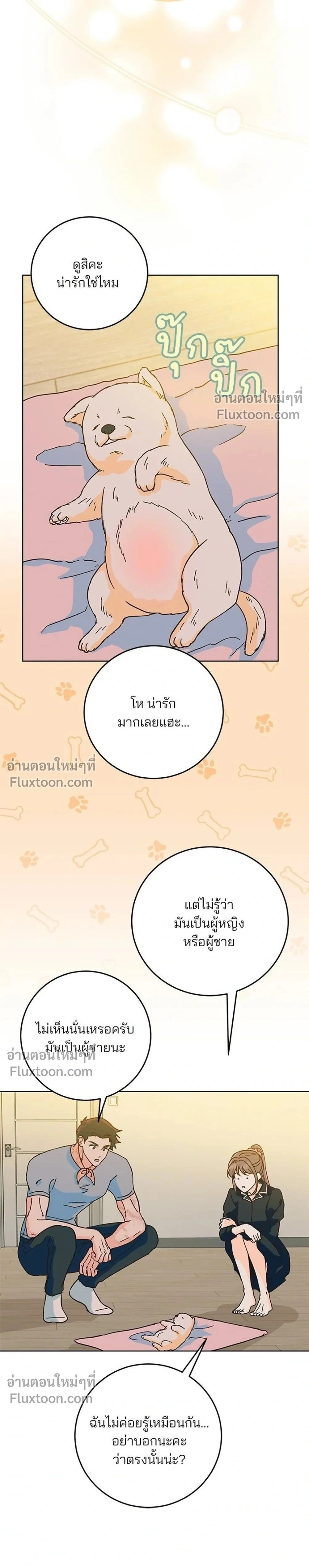 หน้าที่ 23