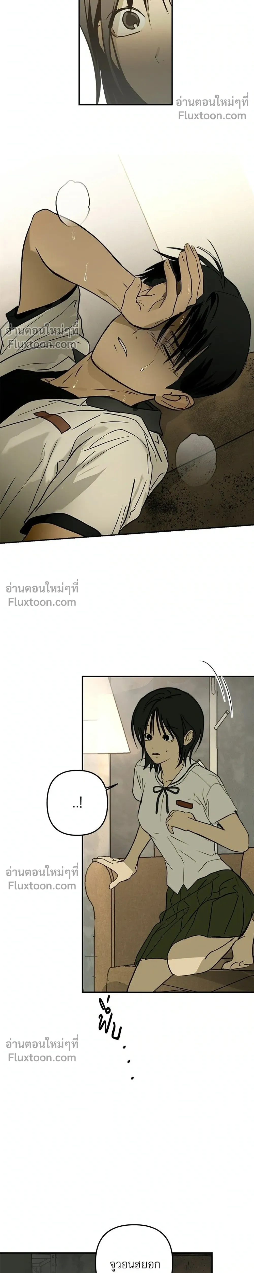 หน้าที่ 20