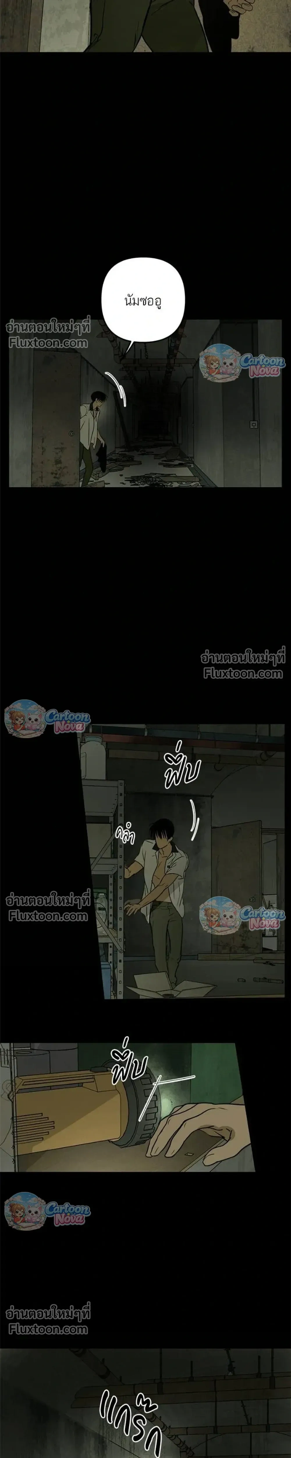 หน้าที่ 13