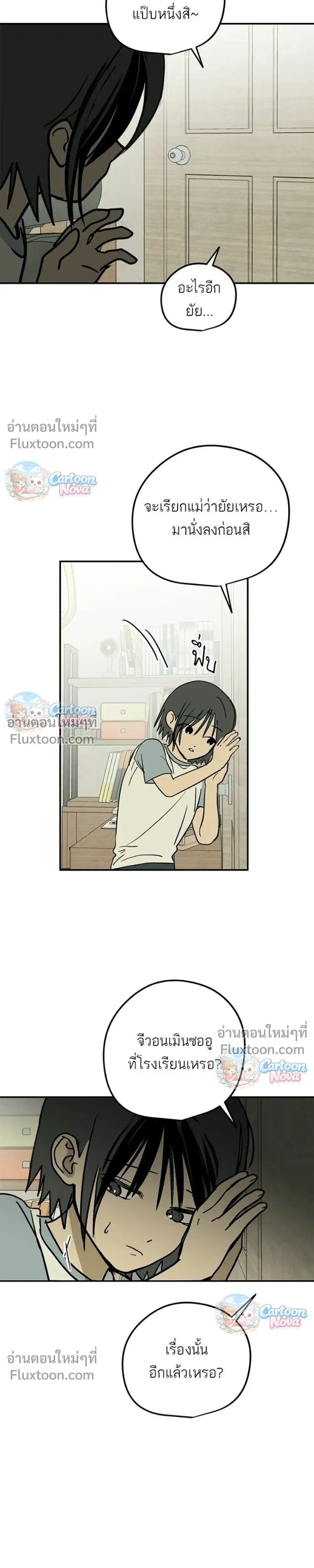 หน้าที่ 13