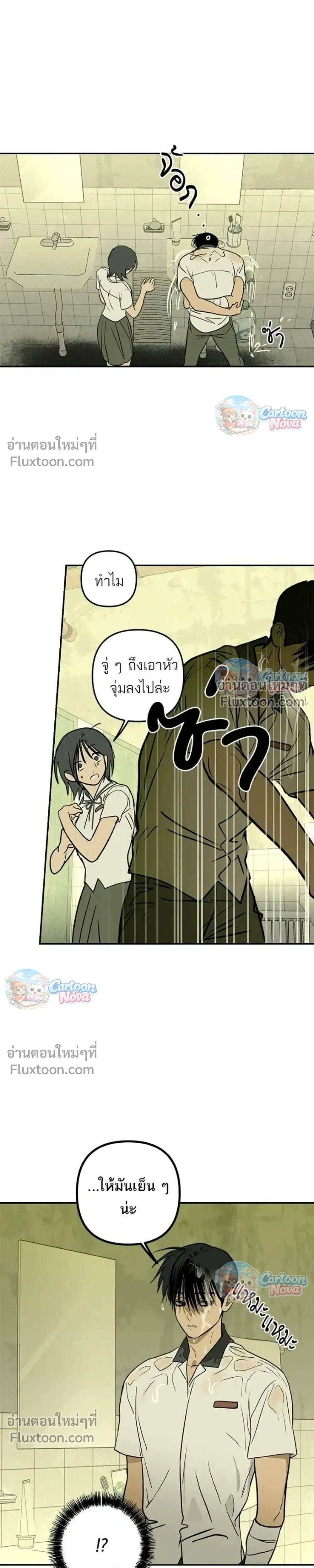 หน้าที่ 13