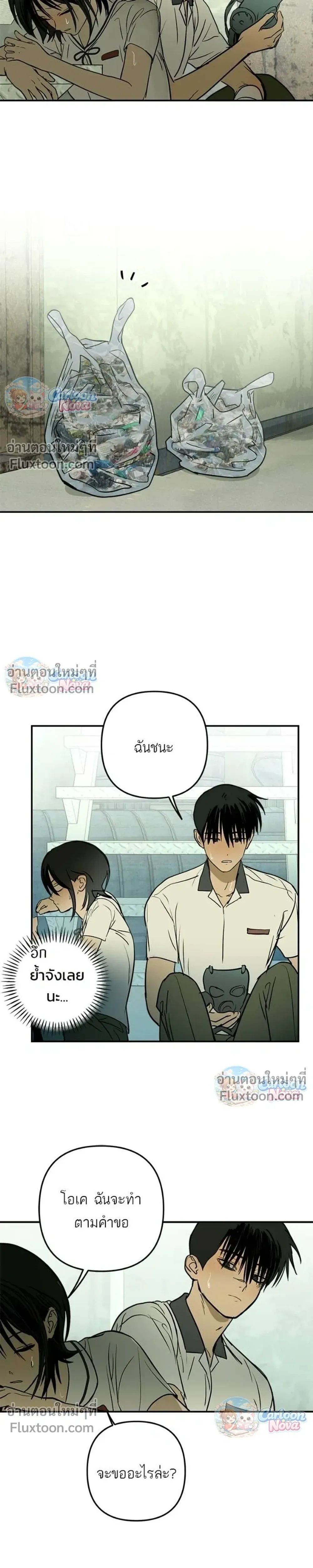 หน้าที่ 13