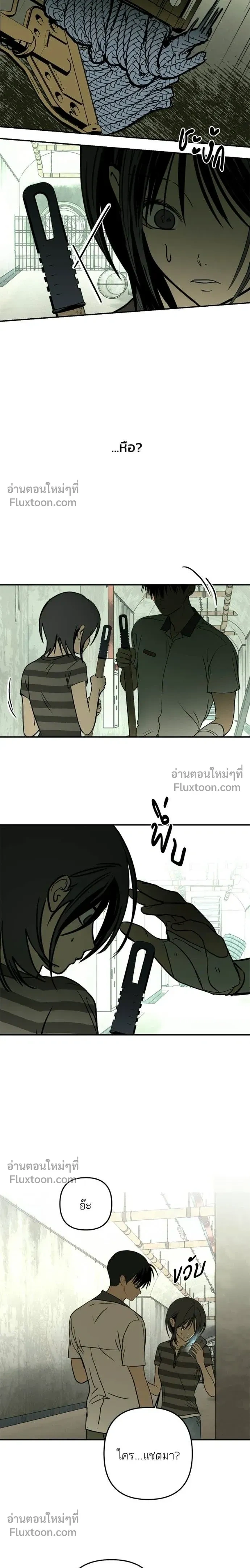 หน้าที่ 43