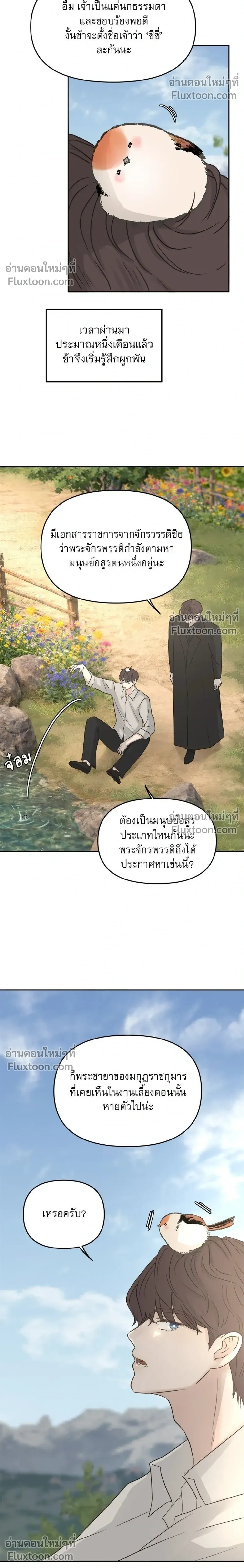 หน้าที่ 10