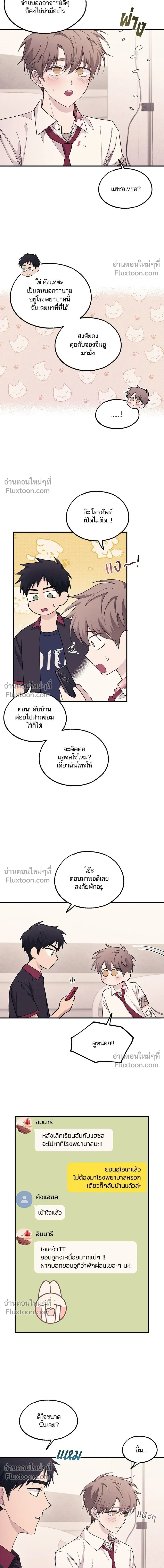 หน้าที่ 13