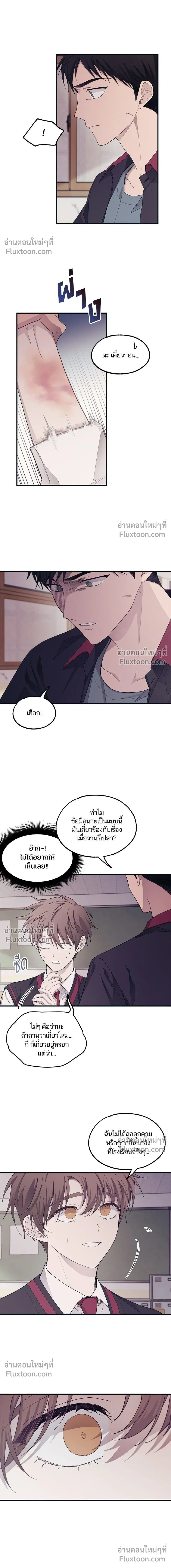 หน้าที่ 13