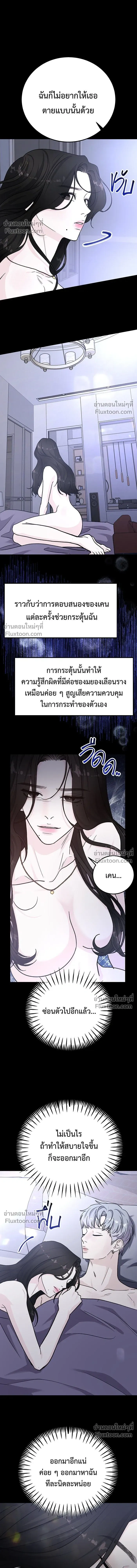 หน้าที่ 13