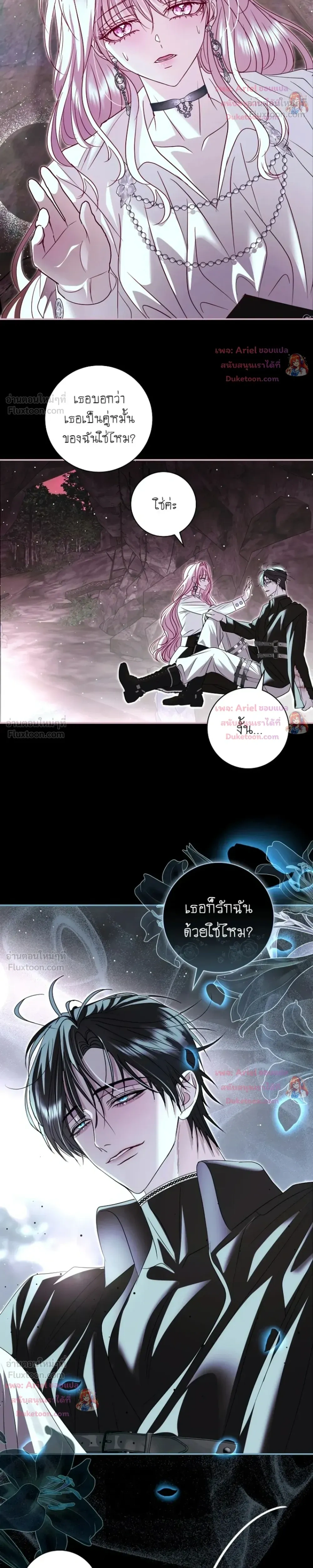 หน้าที่ 13