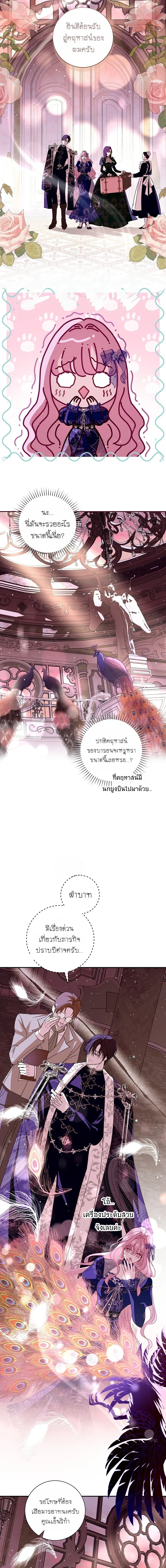 หน้าที่ 5