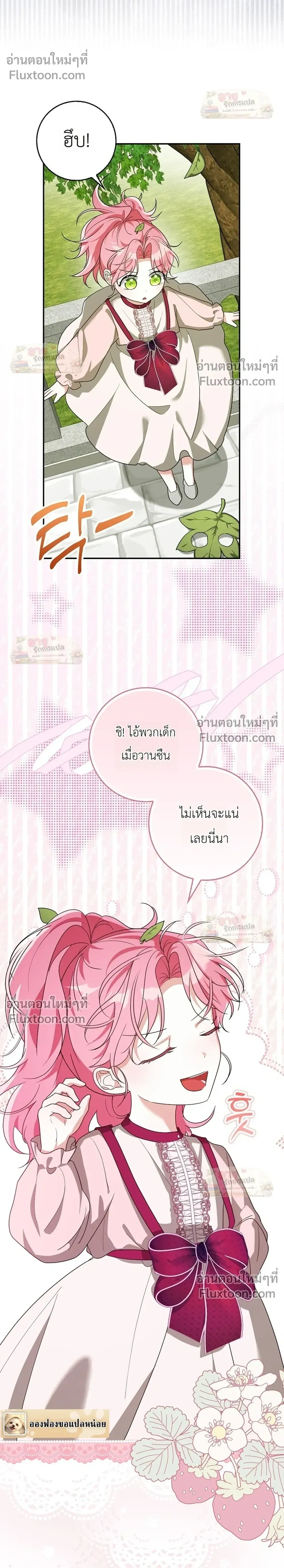 หน้าที่ 17