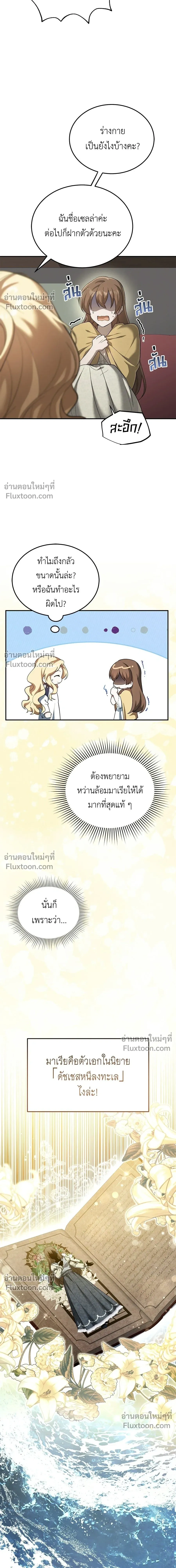 หน้าที่ 13