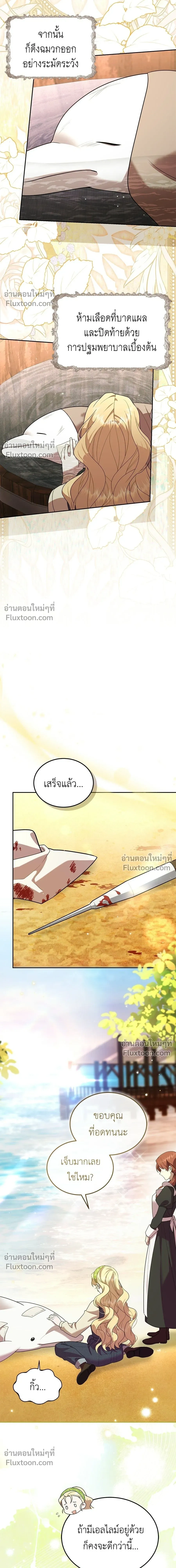 หน้าที่ 13