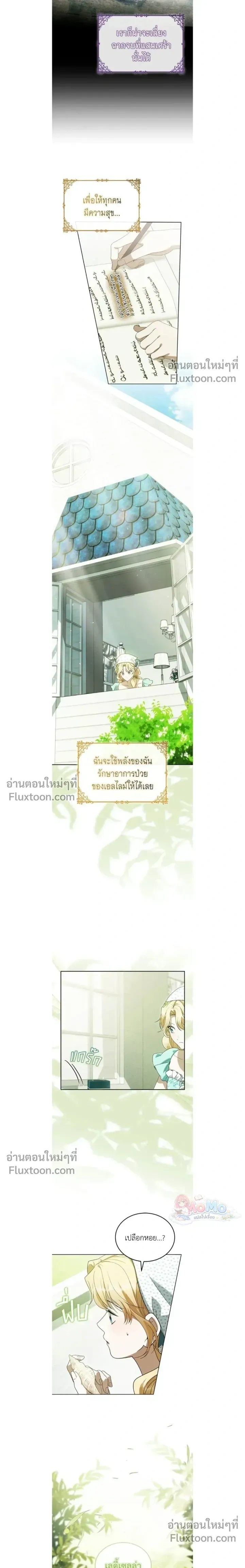หน้าที่ 13