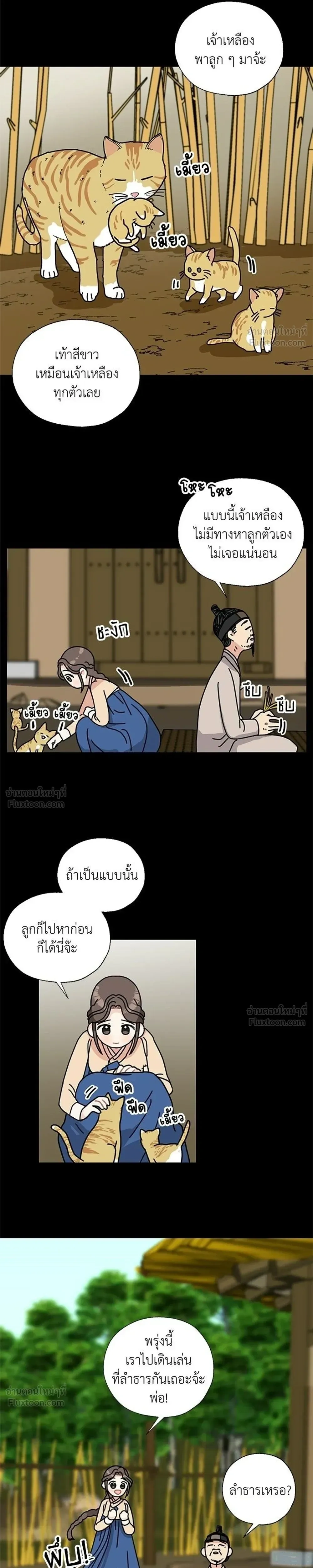 หน้าที่ 17