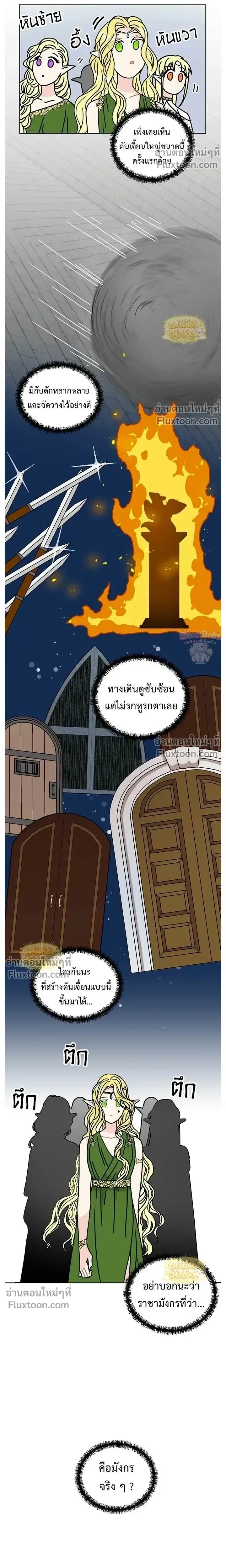 หน้าที่ 13