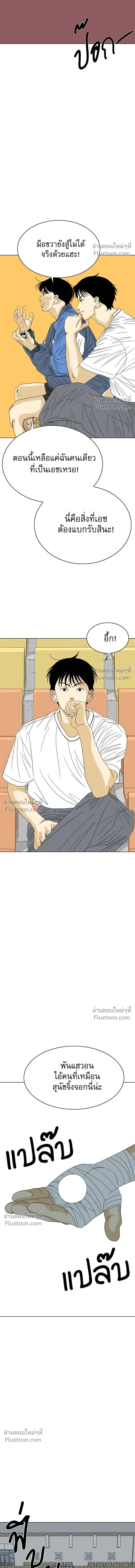 หน้าที่ 13