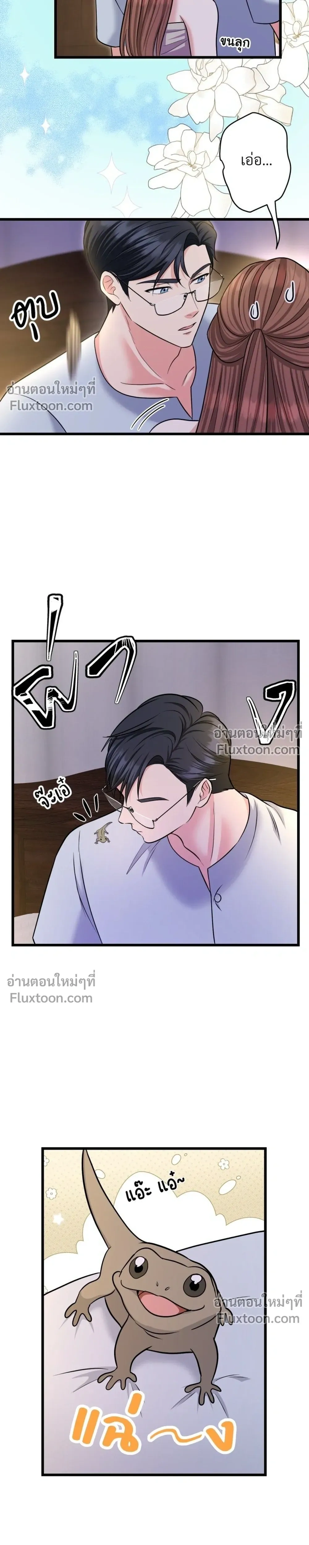 หน้าที่ 13