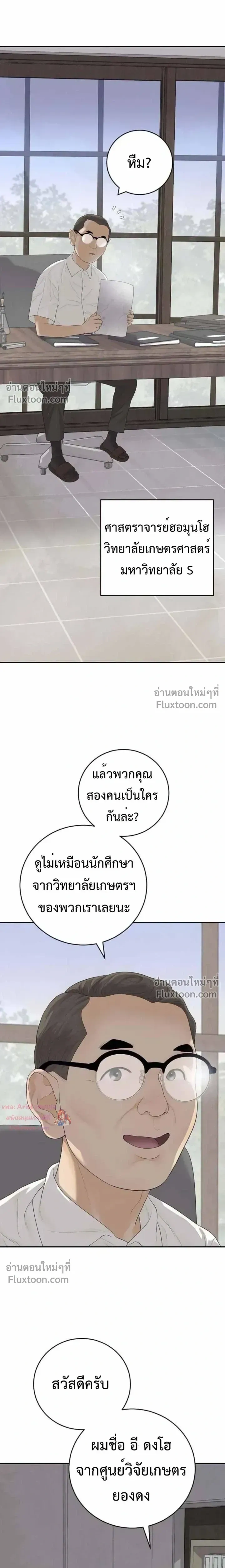 หน้าที่ 13