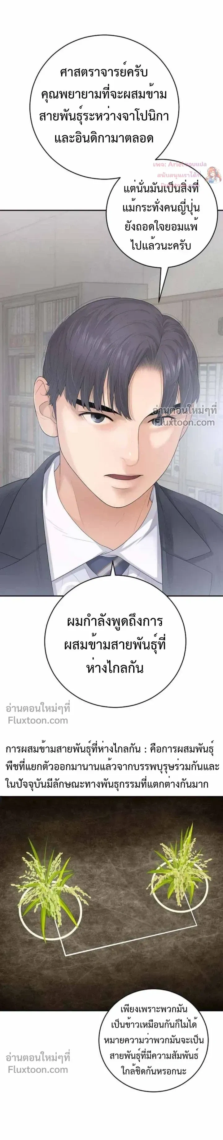หน้าที่ 14