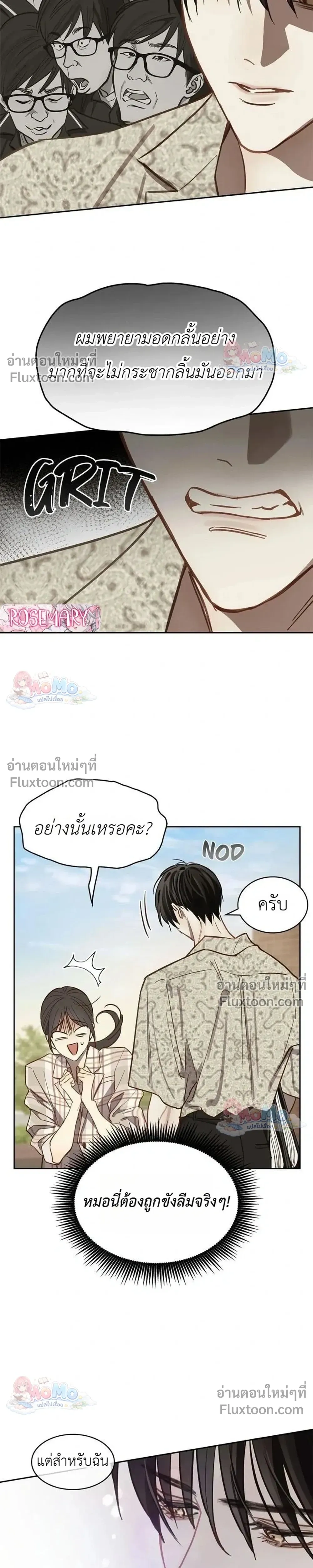 หน้าที่ 17
