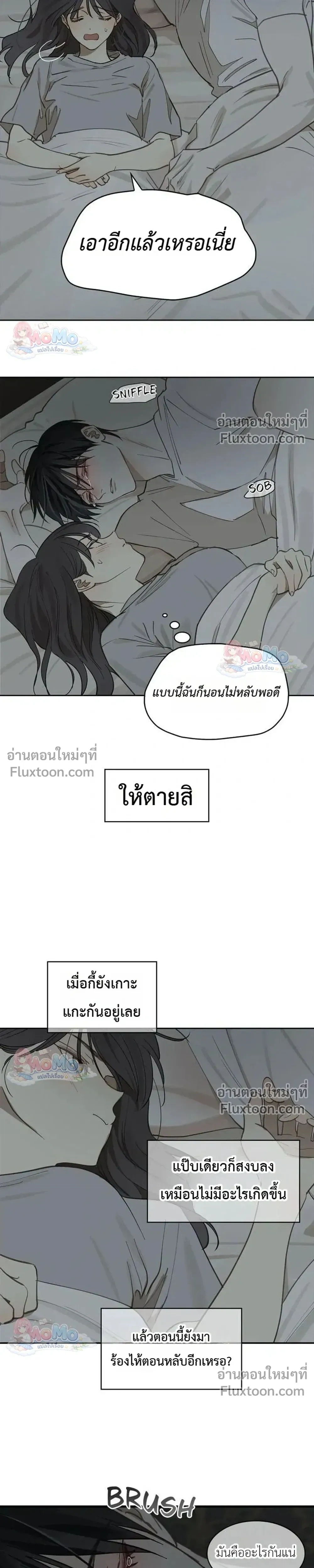 หน้าที่ 24