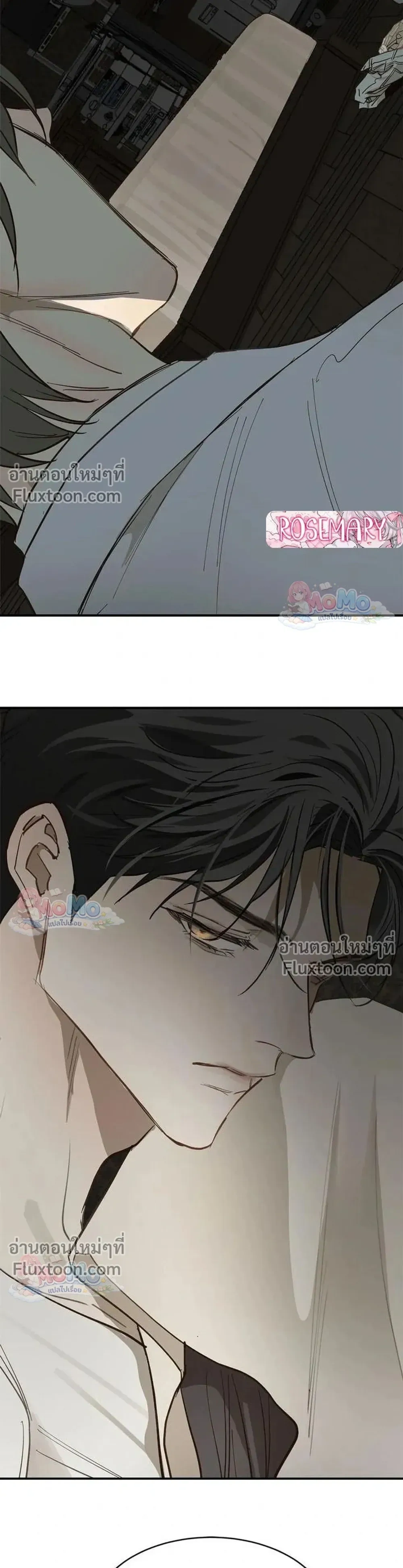 หน้าที่ 13