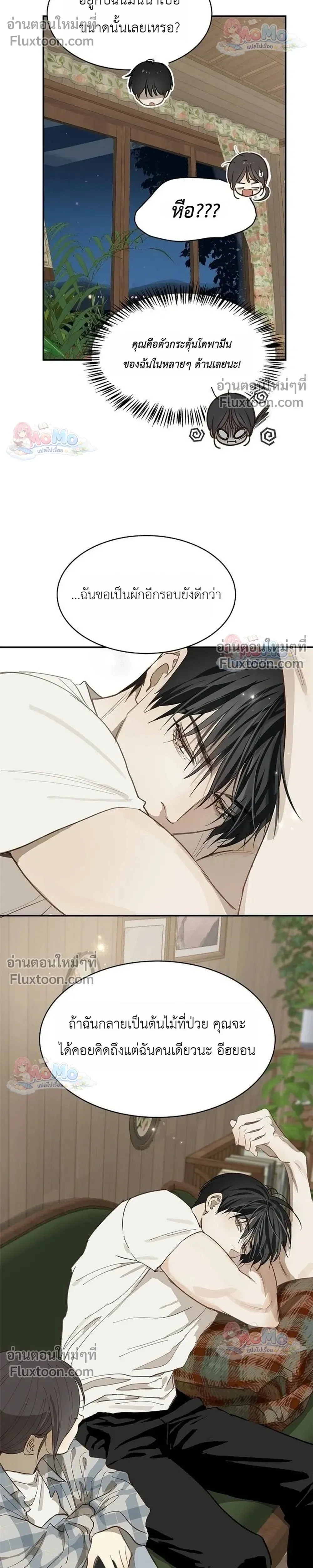หน้าที่ 17