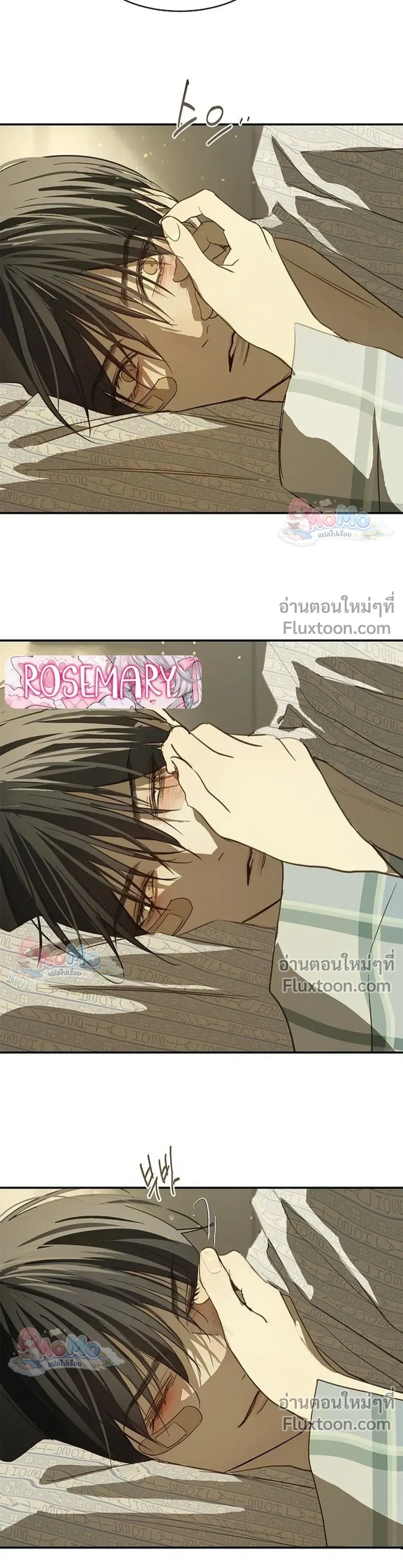 หน้าที่ 30