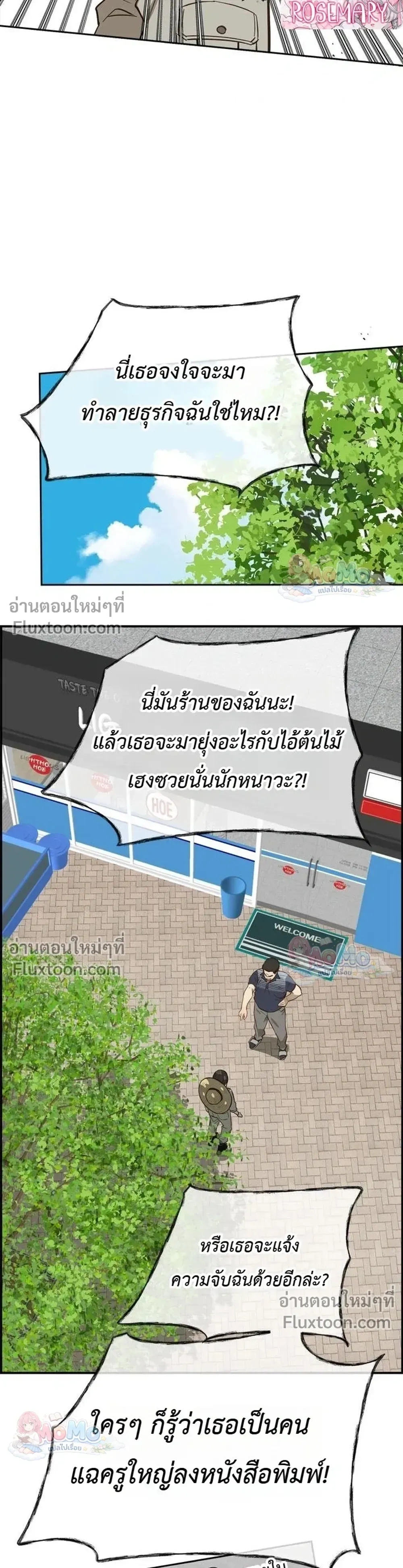 หน้าที่ 13