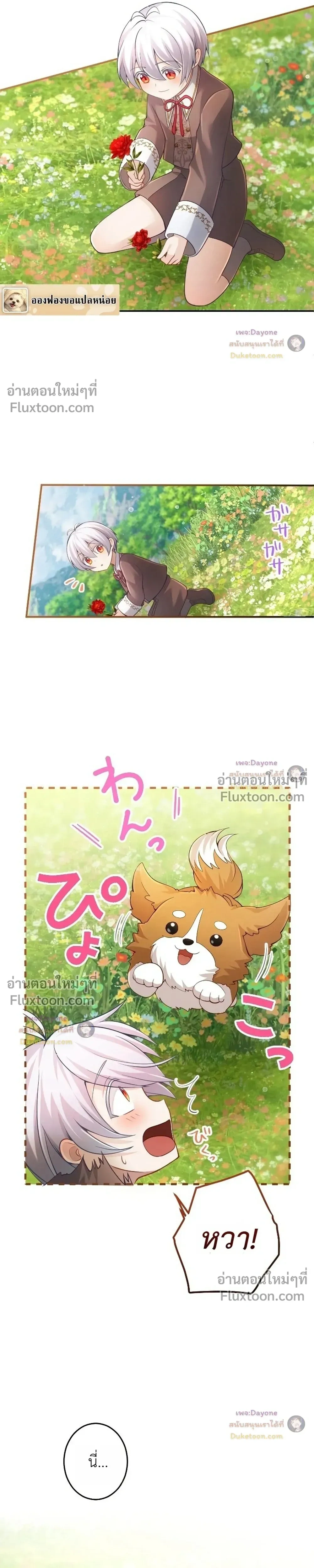 หน้าที่ 13