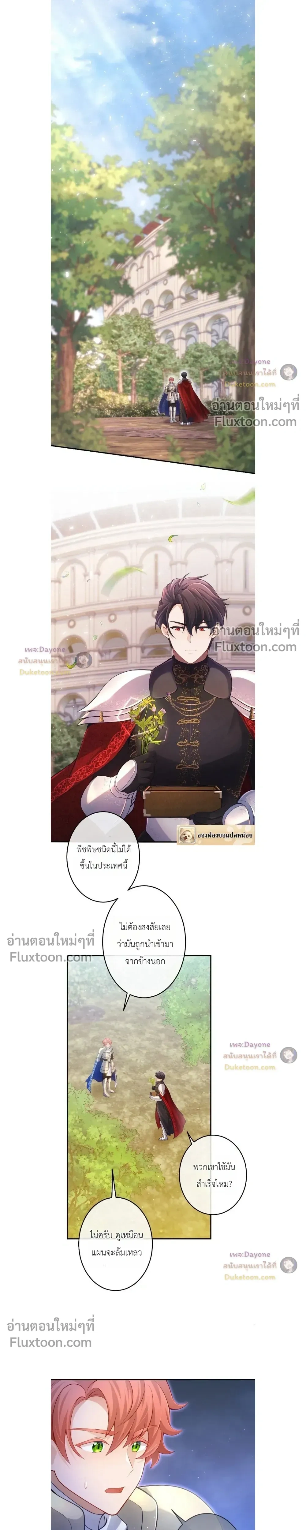 หน้าที่ 13