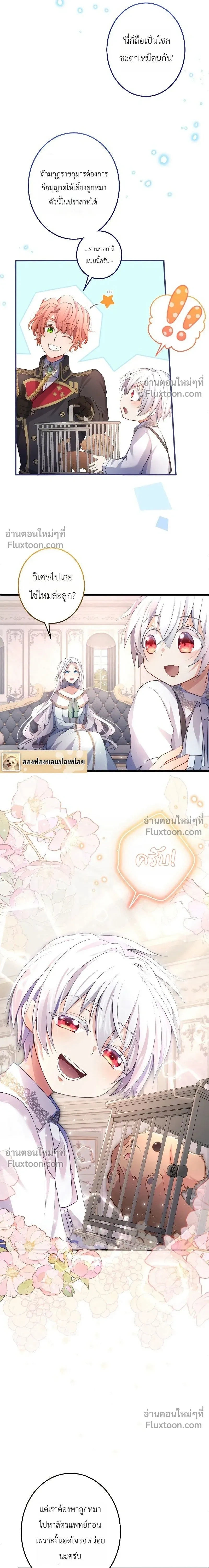หน้าที่ 15