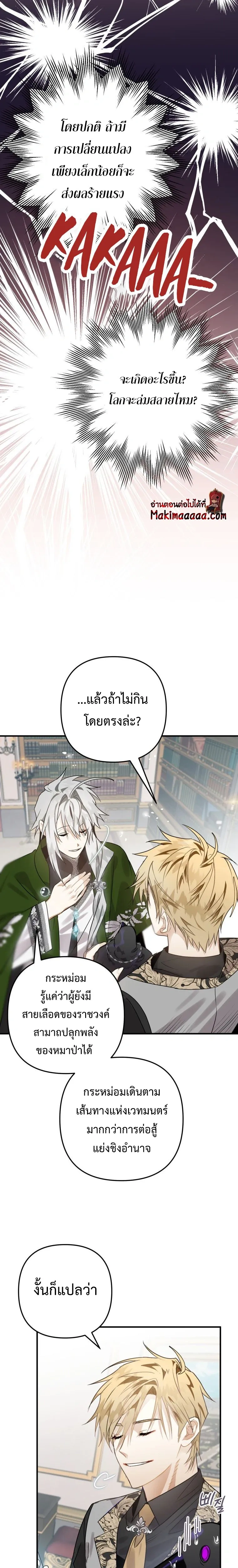 หน้าที่ 17