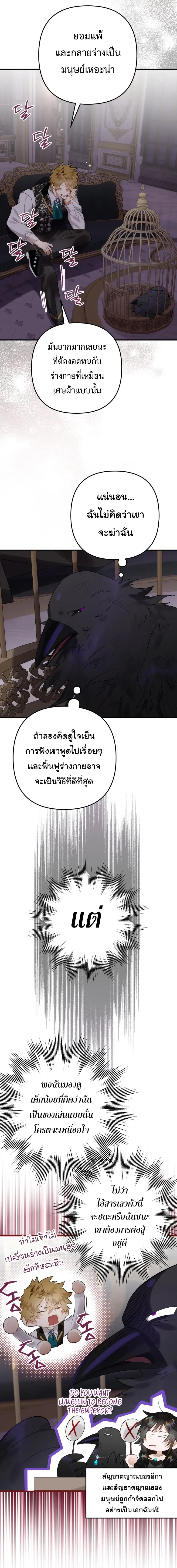 หน้าที่ 21