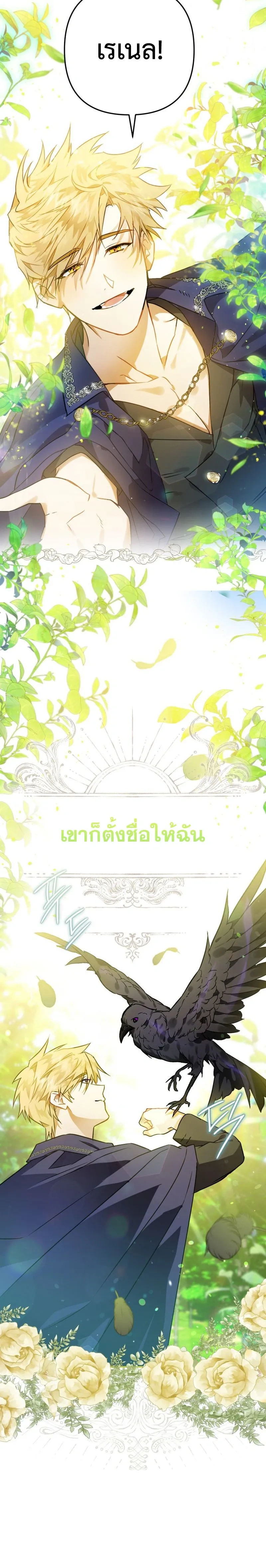 หน้าที่ 3