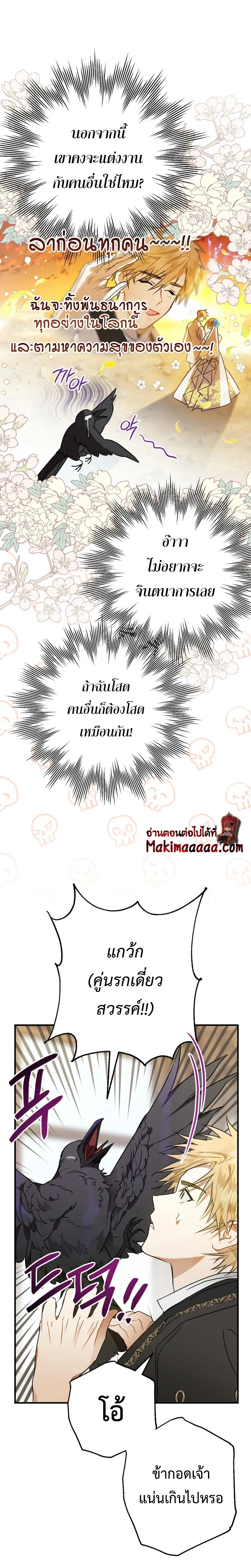 หน้าที่ 17