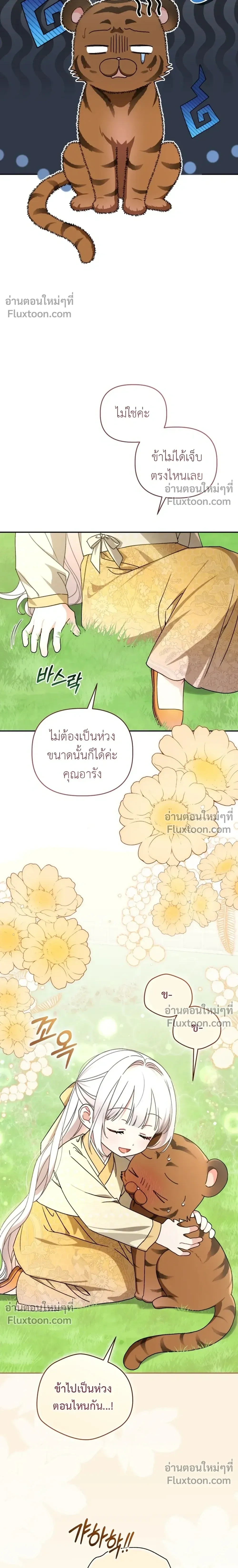 หน้าที่ 13