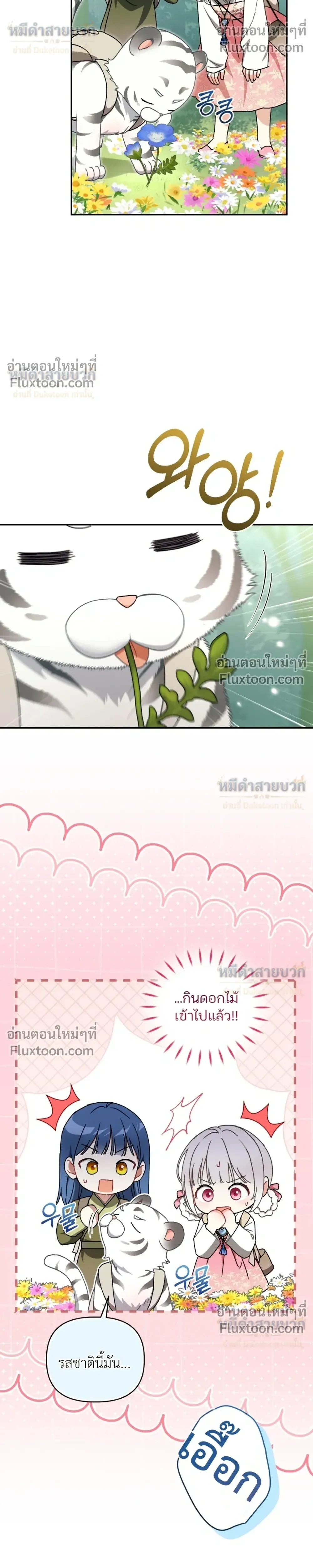 หน้าที่ 27