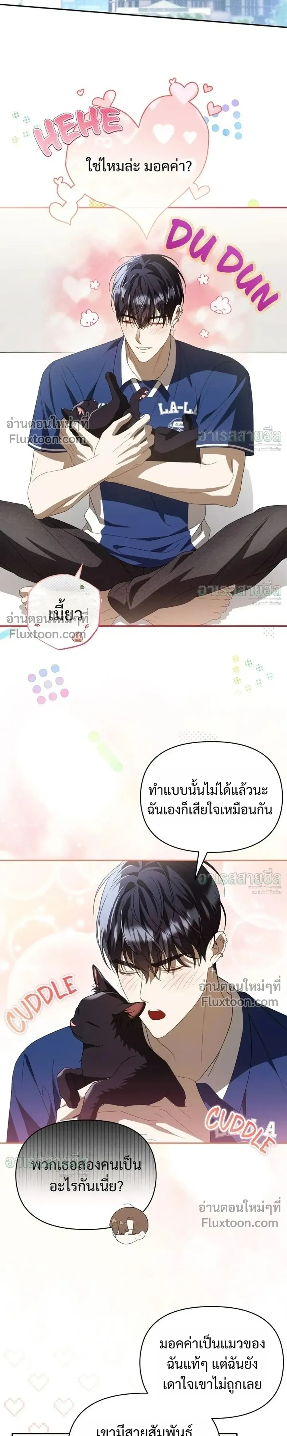 หน้าที่ 17