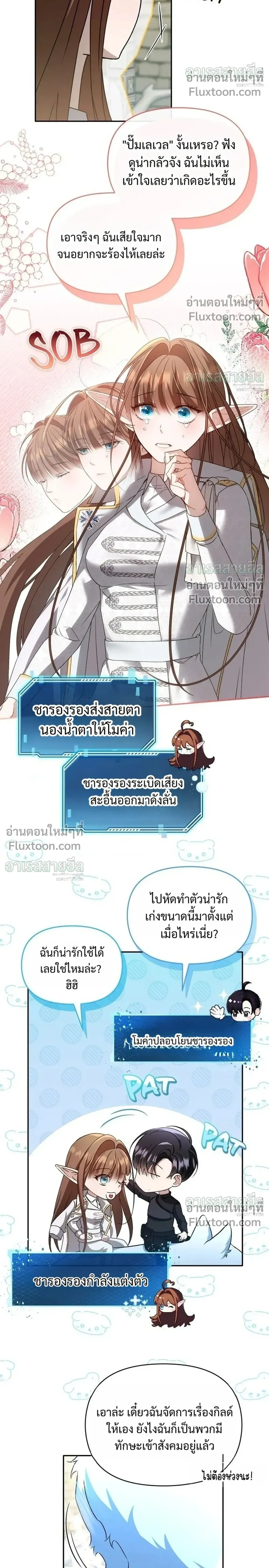 หน้าที่ 24