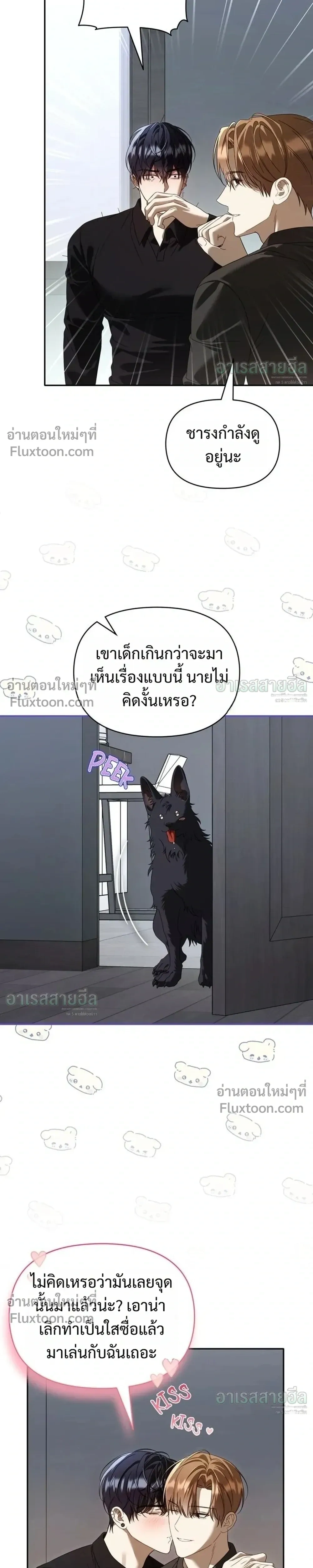 หน้าที่ 13