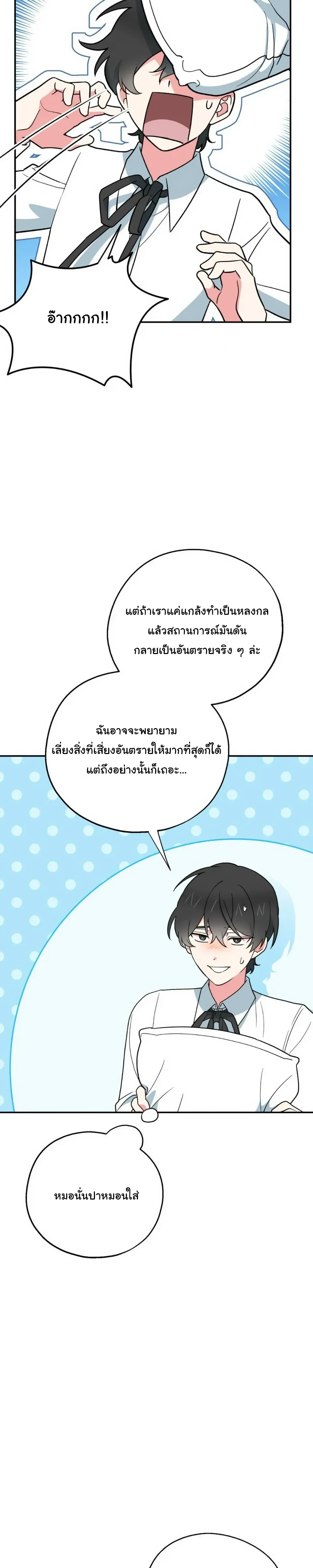 หน้าที่ 29