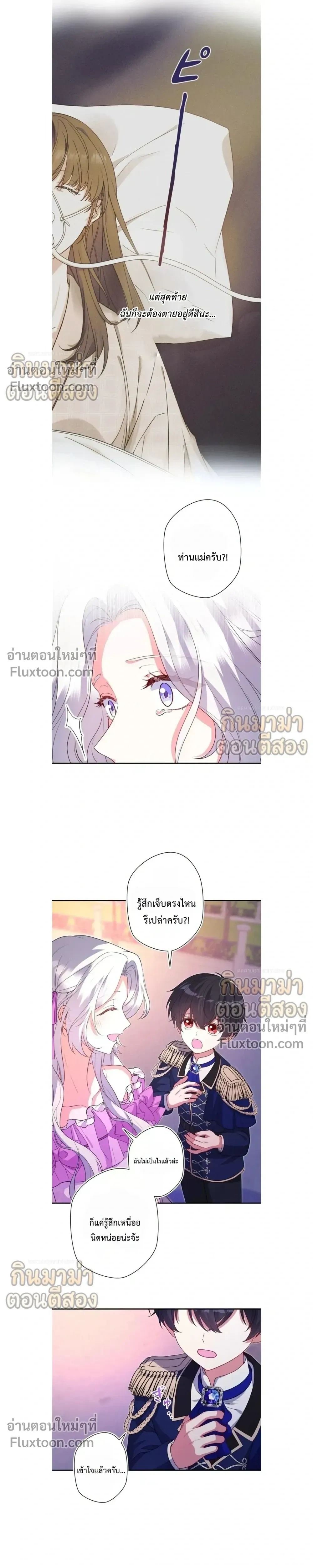 หน้าที่ 13