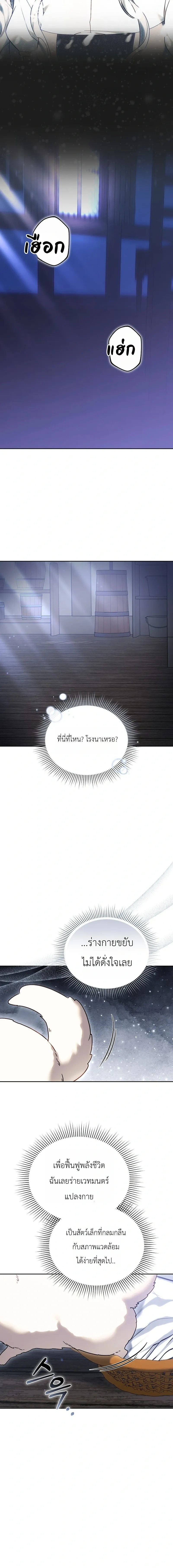 หน้าที่ 25