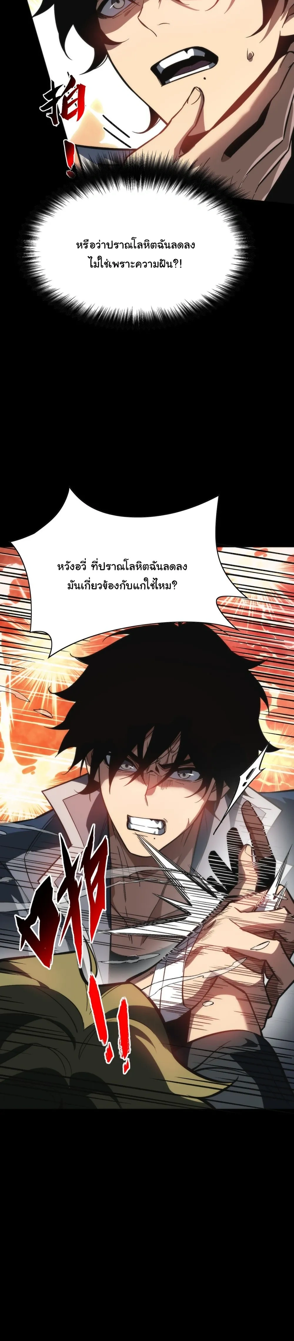 หน้าที่ 29