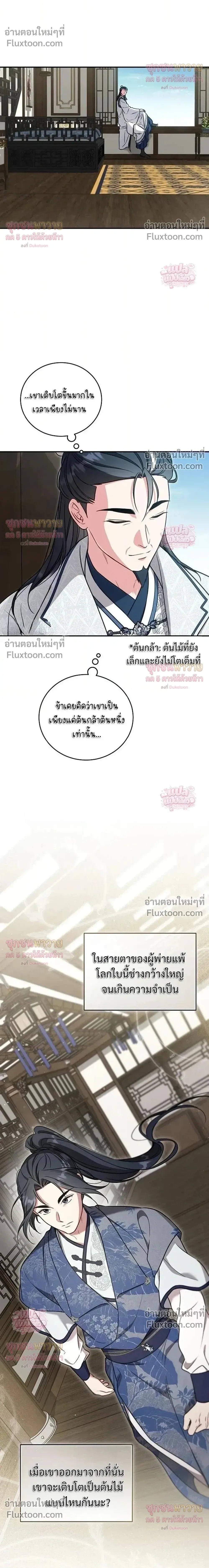 หน้าที่ 29